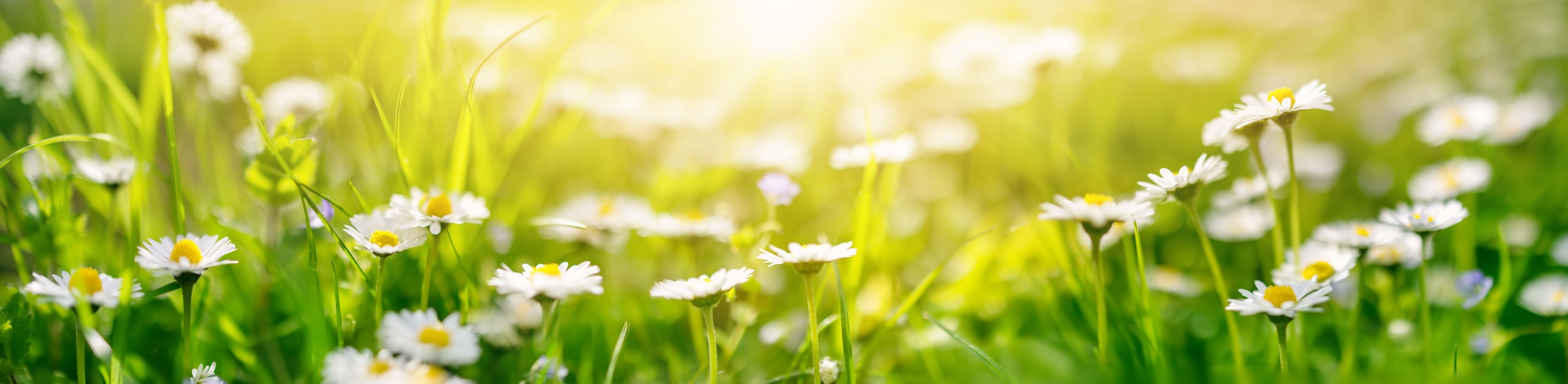 Kinder- und Jugendlichenpsychotherapie | M.A. Claudia Basener | 49152 Bad Essen